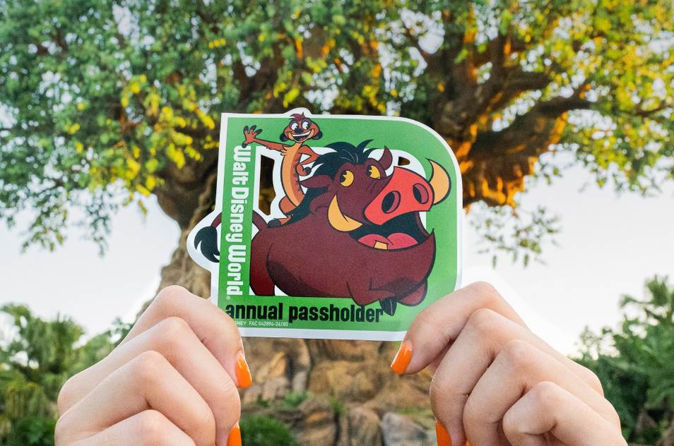 Disney World adiciona novos dias “Good-to-Go” para portadores de passe anual em Janeiro e Fevereiro de 2025