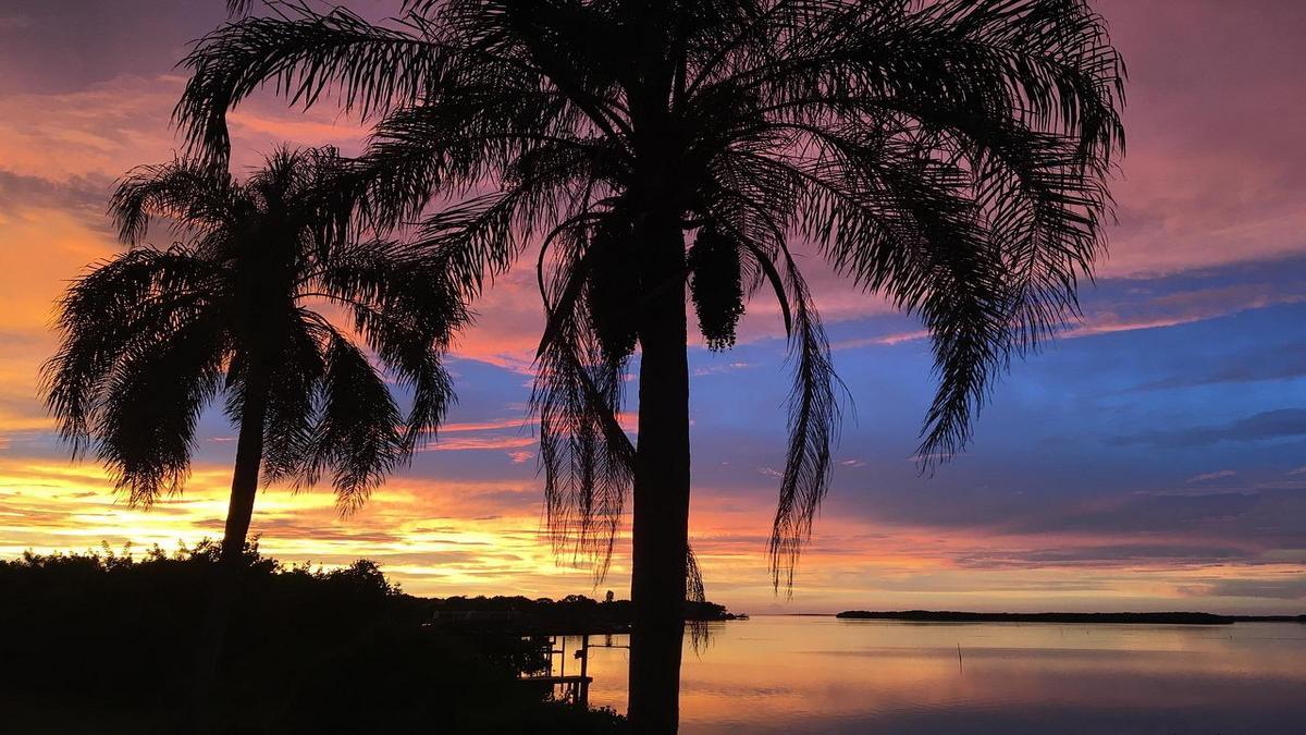 Descubra os Destinos Imperdíveis em Tampa
