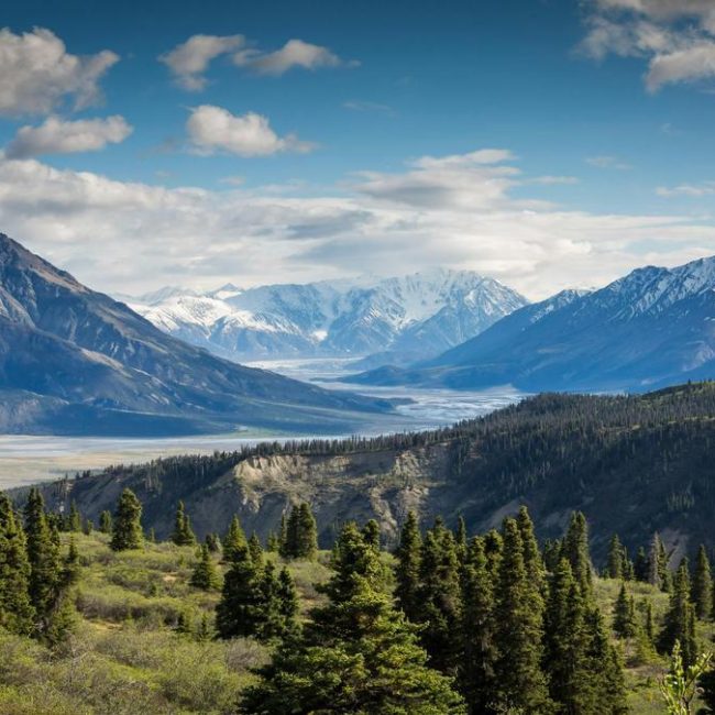 melhores-dicas-gastronomicas-em-celebration-agora