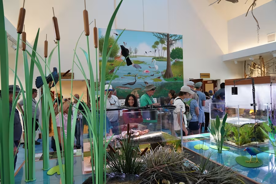 Novo centro de visitantes do Orlando Wetlands promete experiência interativa e educativa.