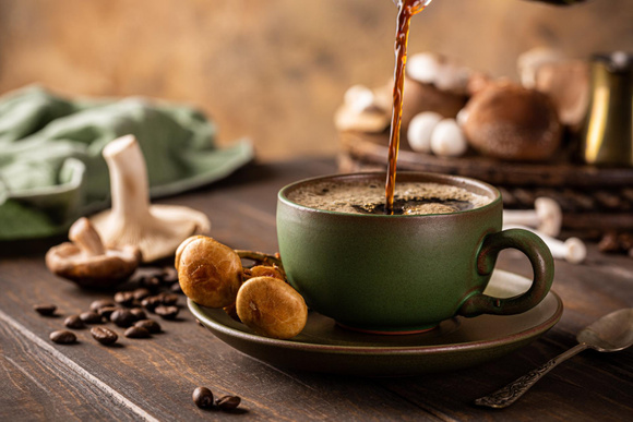 Café com cogumelos conquista liderança na Amazon e supera marcas tradicionais nos Estados Unidos