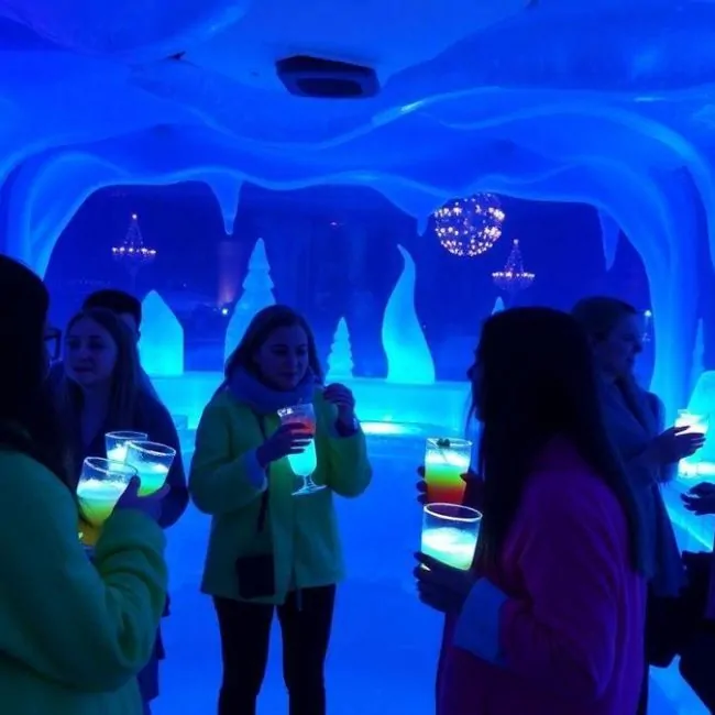 saboreie-drinks-gelados-no-icebar-orlando